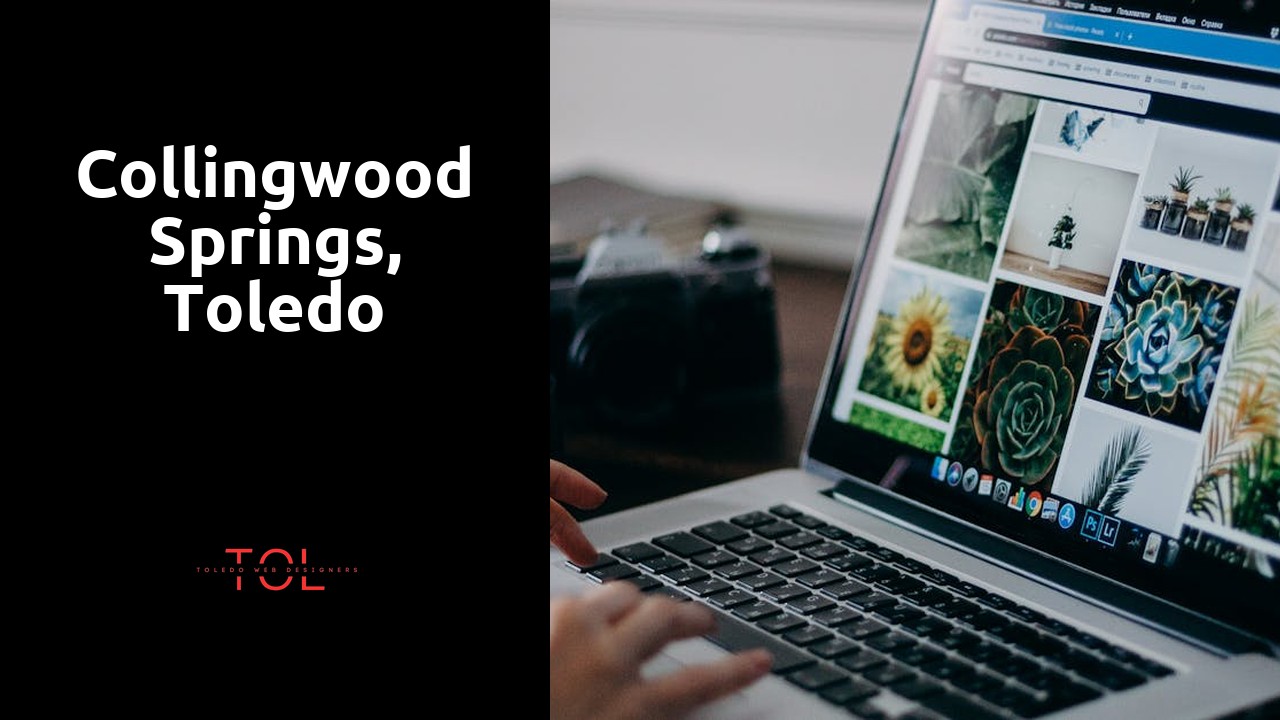 Collingwood Springs, Toledo